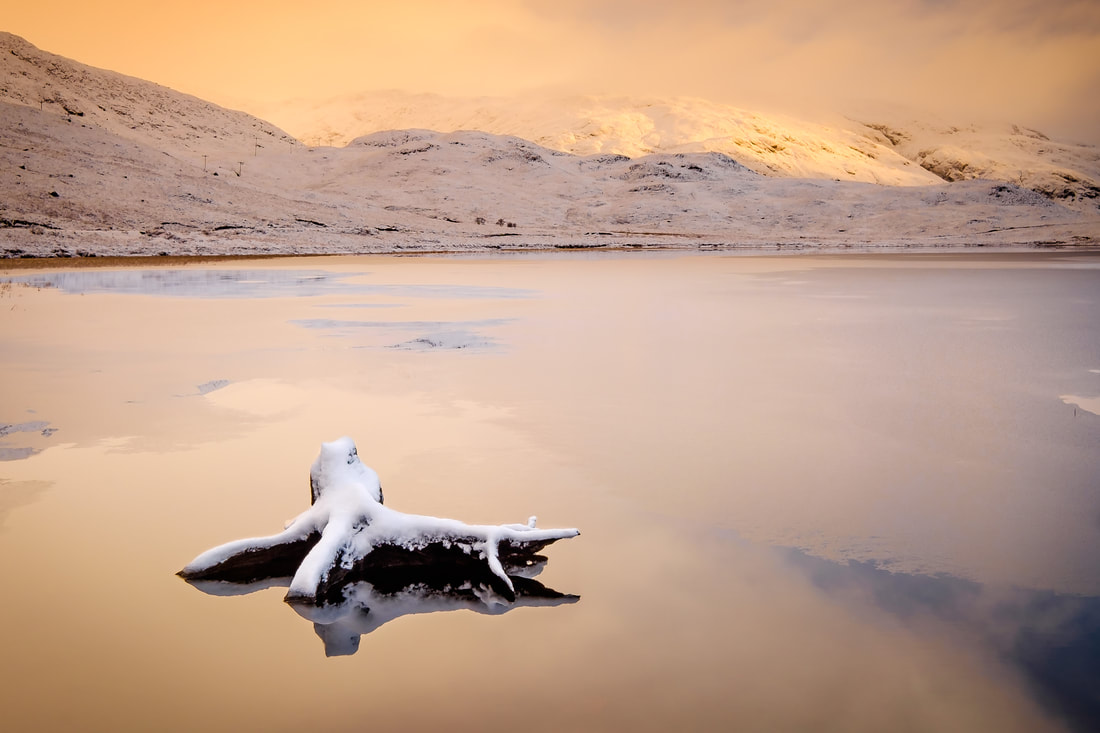 An old, decaying and half-submerged tree root in the water at the edge of Lochan Doire a' Bhraghaid, white with a fresh covering of snow | Ardgour Scotland