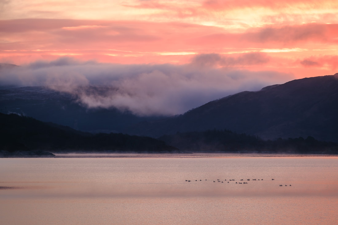 The pinks and purples of sunrise colouring clouds and mist over Loch Sunart and Glen Laudale from Resipole | Sunart Scotland | Steven Marshall Photography