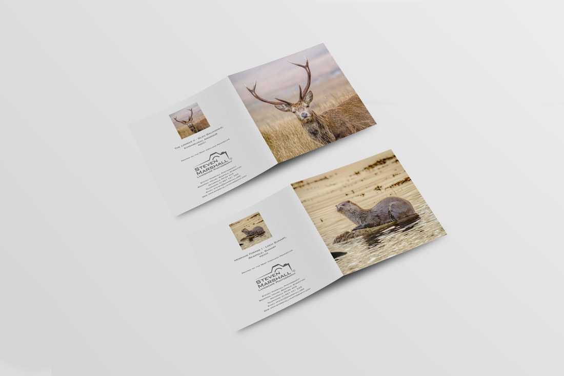 100mm square notelets featuring an image of a stag photographed on Kingairloch Estate and an image of an otter photographed on Loch Sunart | Ardgour Sunart Scotland | Steven Marshall Photography