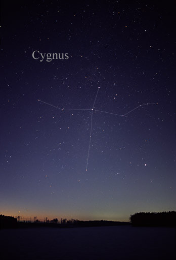 The Constellation of Cygnus