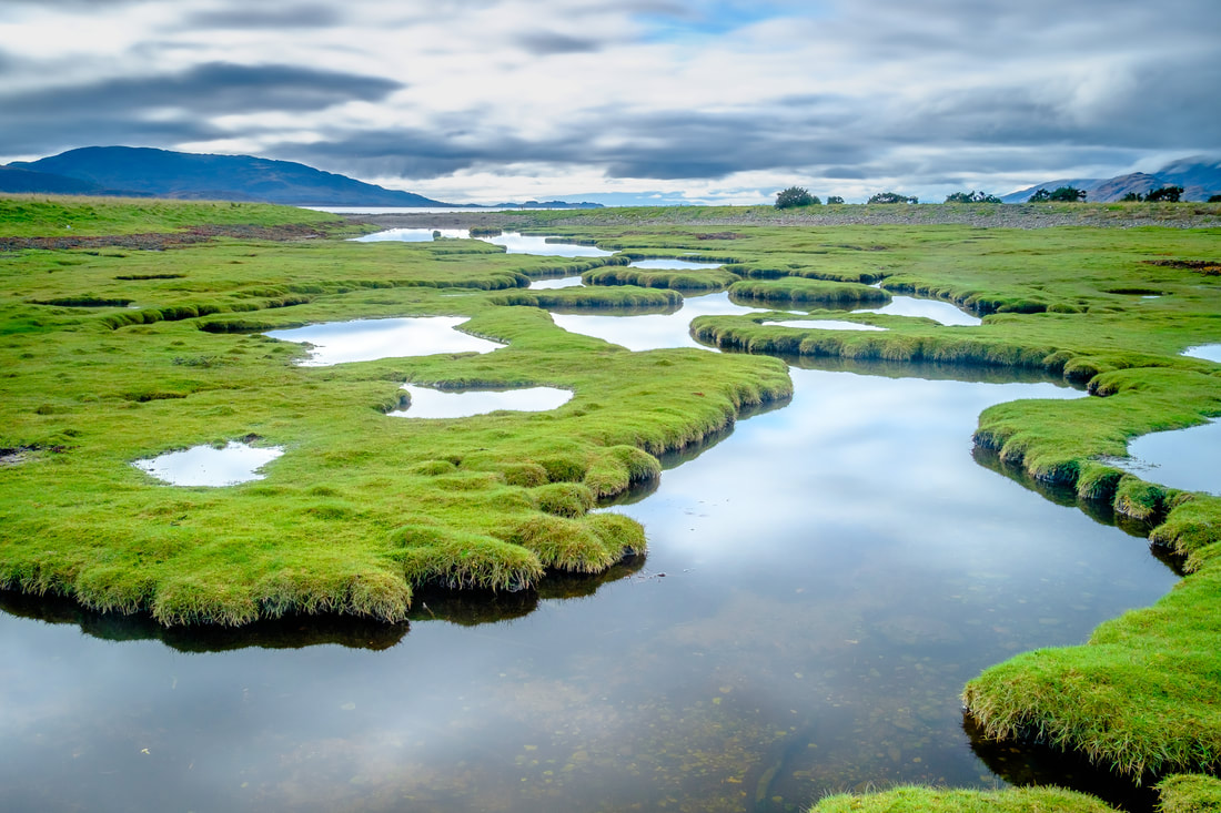 Green grass surrounding the salt marshes at Sallachan Point under a big grey sky over Loch Linnhe | Ardgour Landscape