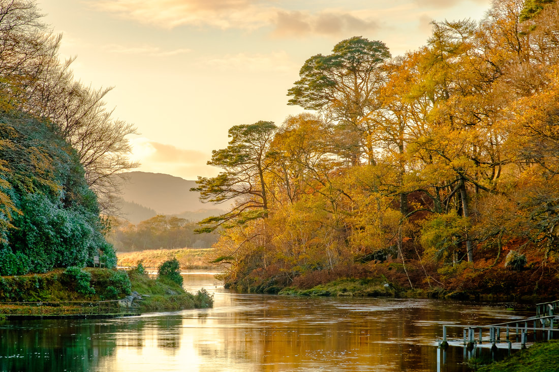 The River Shiel on a late Autumn day with the last light of the day falling on the trees on its banks | Moidart Scotland