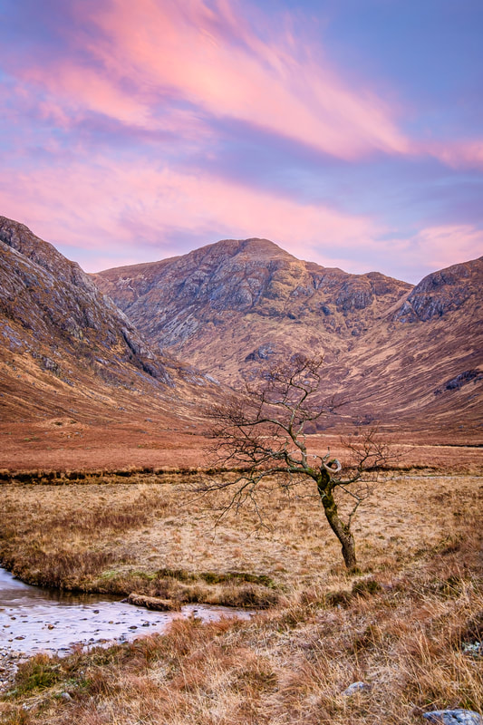 A lone tree standing by the river in Coire an Lubhair, beneath Beinn Bheag on a winter morning | Ardgour Scotland