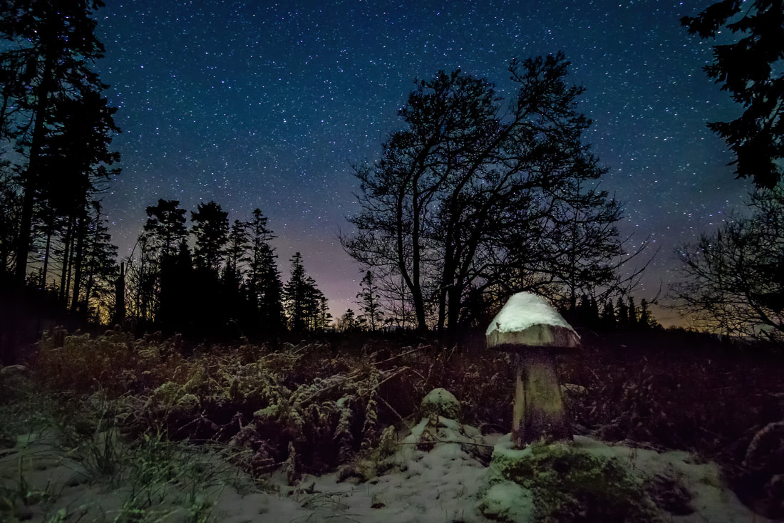 One of the carved wooden mushrooms in the woods at The Bay of Flies, capped with snow and under a clear and cold night sky | Ardnamurchan Scotland
