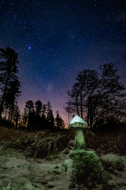Carved wooden mushroom capped with snow and under a starry night in woods near Salen, Ardnamurchan, Scotland | Steven Marshall Photography