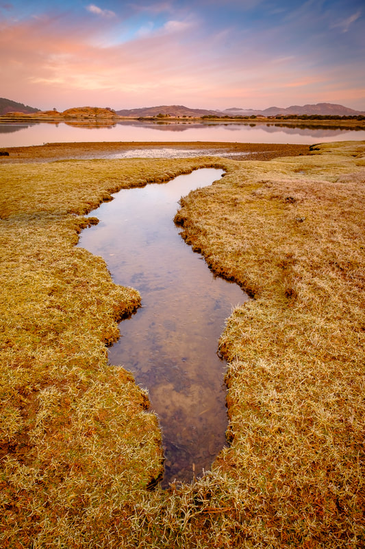 Frost on the grass around the salt marsh at Kentra Moss on a winter morning | Ardnamurchan Scotland