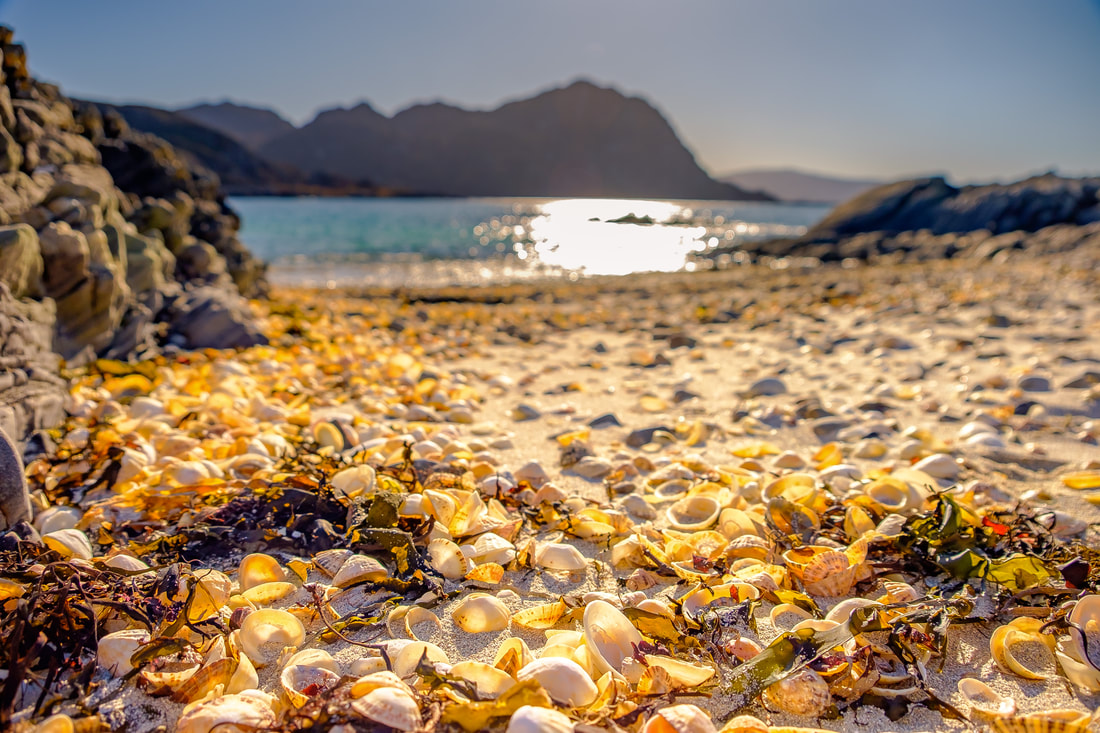 The white sands beach near Smirisary made up of the remains of coral and shells | Moidart Scotland 