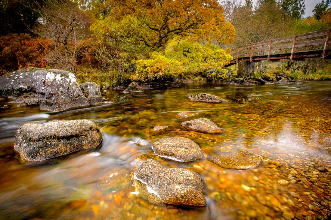 A peaty brown River Strontian flowing under autumn-coloured trees in the Ariundle Oakwood | Sunart Scotland