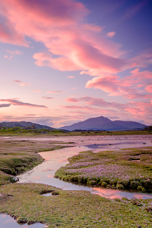 Sunrise at Kentra Bay with Sea Pinks or Thrift covering the grassy mounds in the saltmarsh | Ardnamurchan Scotland | Steven Marshall Photography