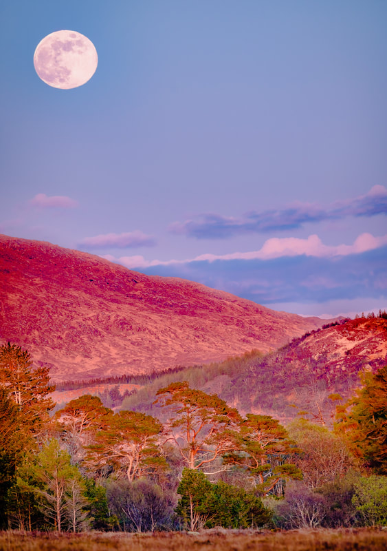 The Full Pink Moon of April 2018 rising to the east of Ben Resipole under the pink light of a sunset | Ardnamurchan Scotland
