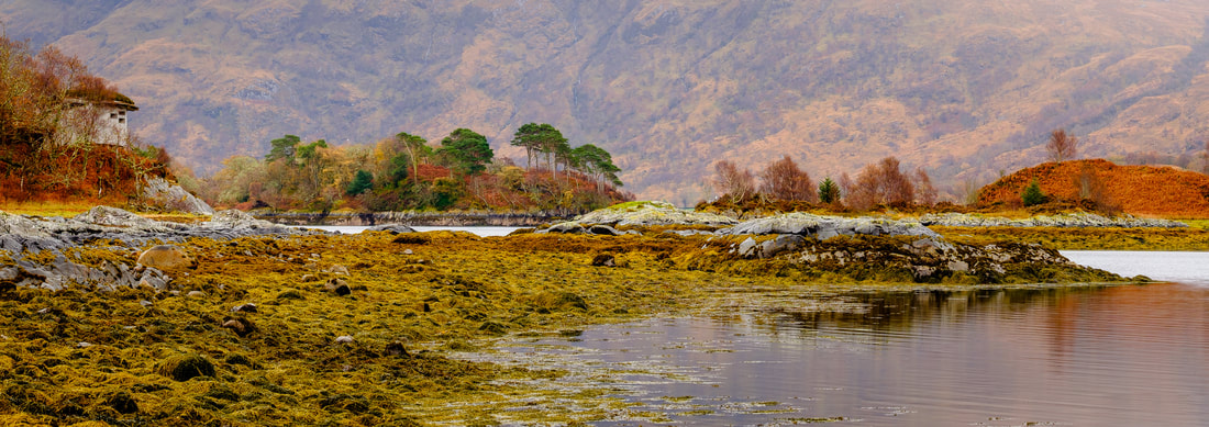 The Garbh Eilean wildlife hide at Ardery and Loch Sunart on a calm autumnal morning | Sunart Scotland