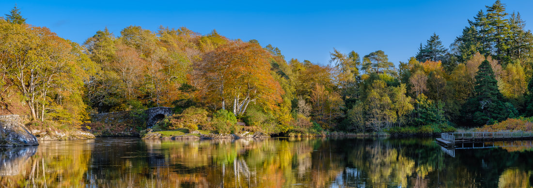 Autumn colours on the trees around the River Shiel near Acharacle | Moidart Scotland | Steven Marshall Photography