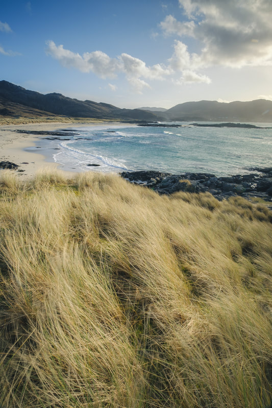Windblown marram grass on the sand dunes around the beach at Sanna | Ardnamurchan Scotland | Steven Marshall Photography