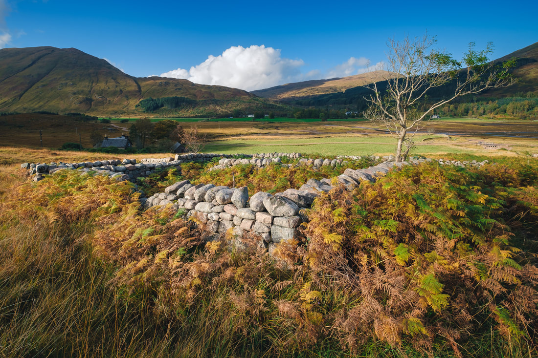 A sheep fank at South Corrie, Kingairloch Estate, surrounded by autumn-coloured bracken | Ardgour Scotland | Steven Marshall Photography