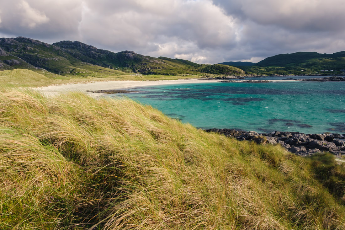 Marram on the sand dunes at Sanna blowing in the wind | Ardnamurchan Scotland | Steven Marshall Photography
