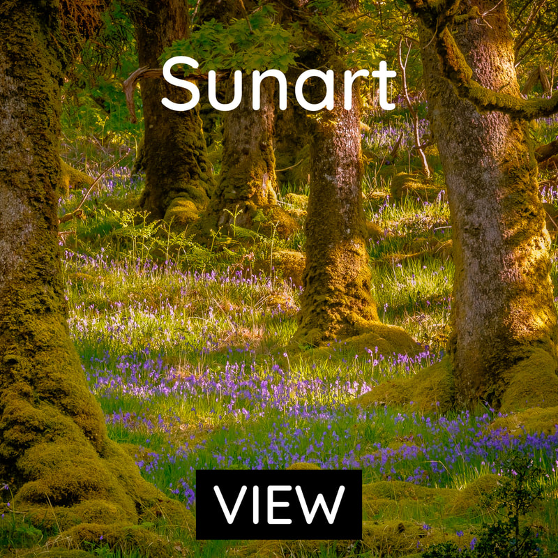Image Gallery of Sunart Landscape Photo Prints | Highlands Scotland