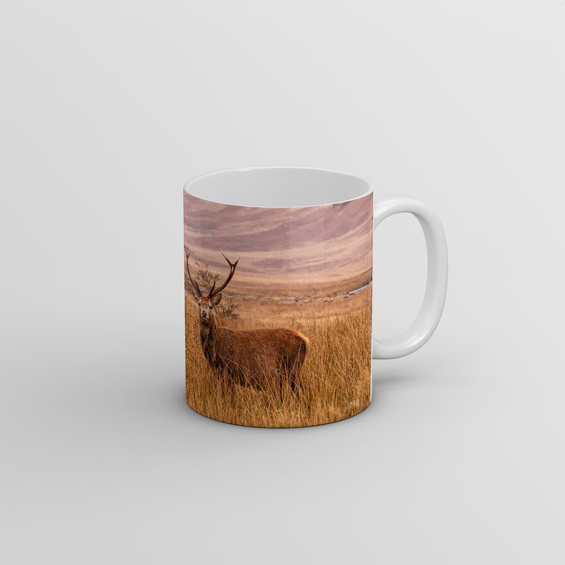 Souvenir photo mug featuring an image a stag standing in the long grass in a misty Glen Galmadale on Kingairloch Estate | Ardgour Scotland