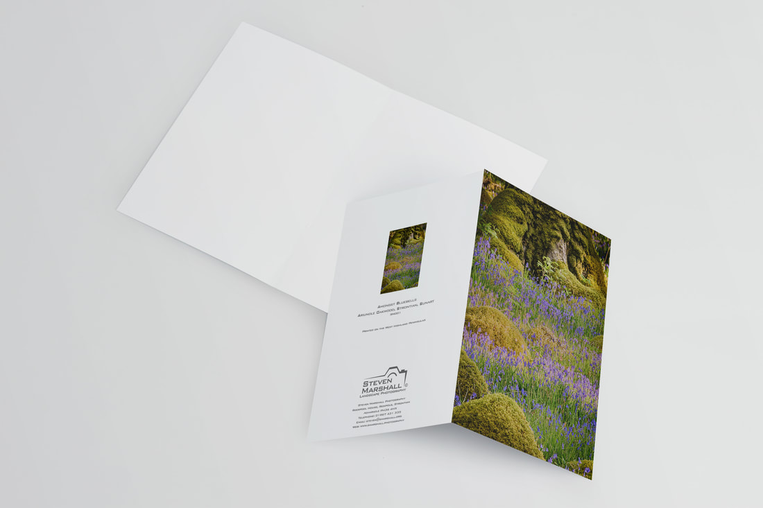 An A6 greeting card featuring bluebells at the foot of an ancient oak tree in Ariundle Oakwood with morning sunlight falling on them | Sunart Scotland
