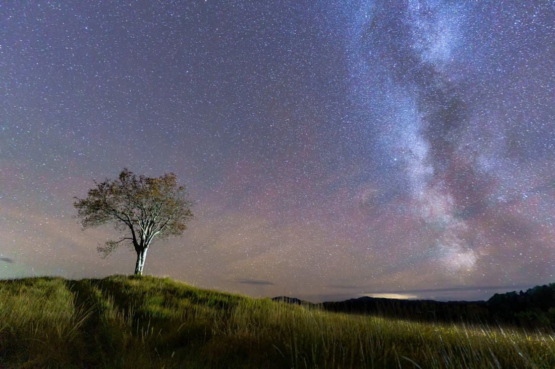 A lone tree at Mingarry sitting under the Milky Way which is spread across the south western night sky | Moidart Scotland