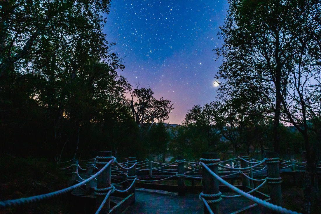 The wooden pathway to the Garbh Eilean Wildlife Hide with Jupiter in a star filled sky | Sunart Scotland