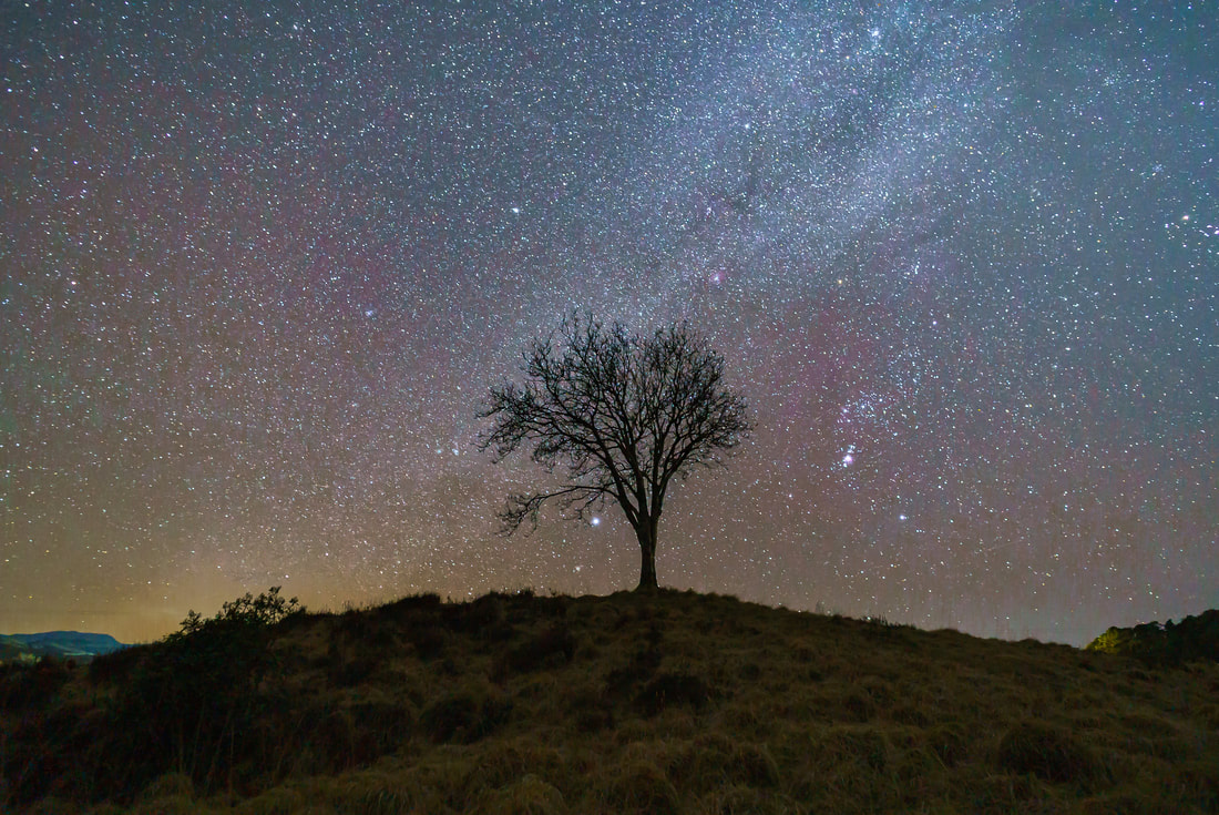 A lone tree on a small hill under a night sky with the bright light of the Orion Nebula to its right and the bright start Sirius on its left | Moidart Scotland
