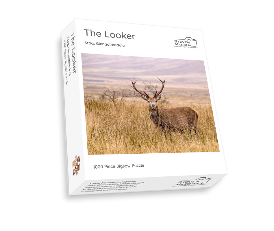 A 1000-piece jigsaw of a stag in Glengalmadale | Ardgour Scotland | Steven Marshall Photography