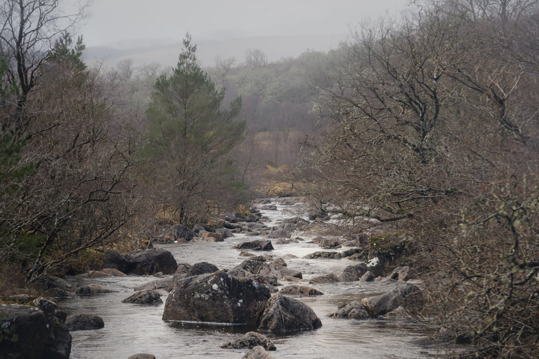 A boulder strewn Strontian River flowing through Ariundle Oakwood on a grey and misty day | Sunart, Scotland | Steven Marshall Photography